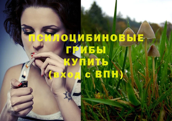 дживик Абинск