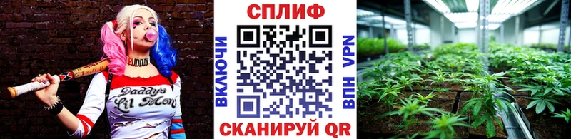 гидра ссылка  купить закладку  Морозовск  Шишки марихуана White Widow 